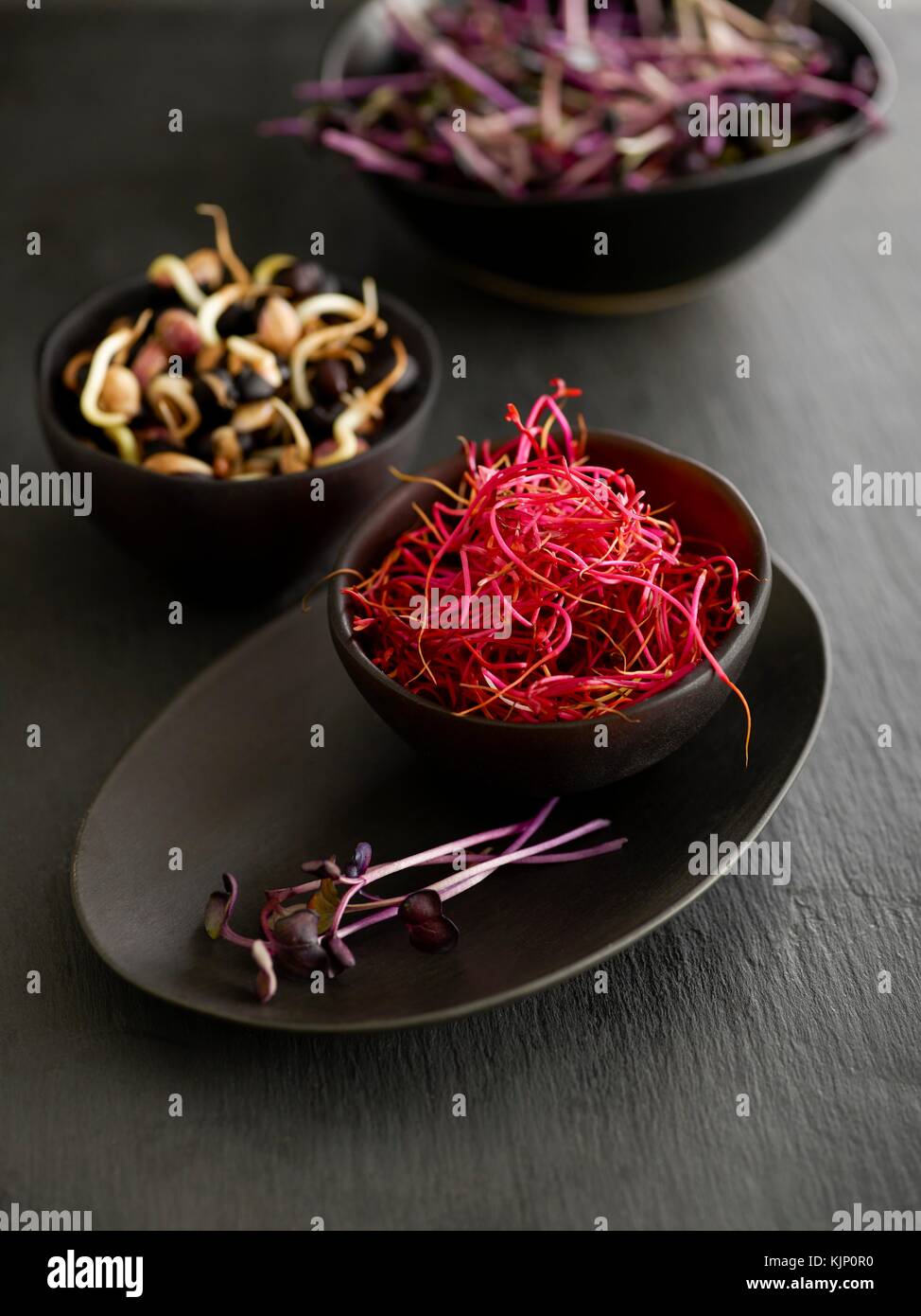 Keimen, Rote Beete, schwarze Bohnen, und lila Kresse in schwarz Schalen. Stockfoto
