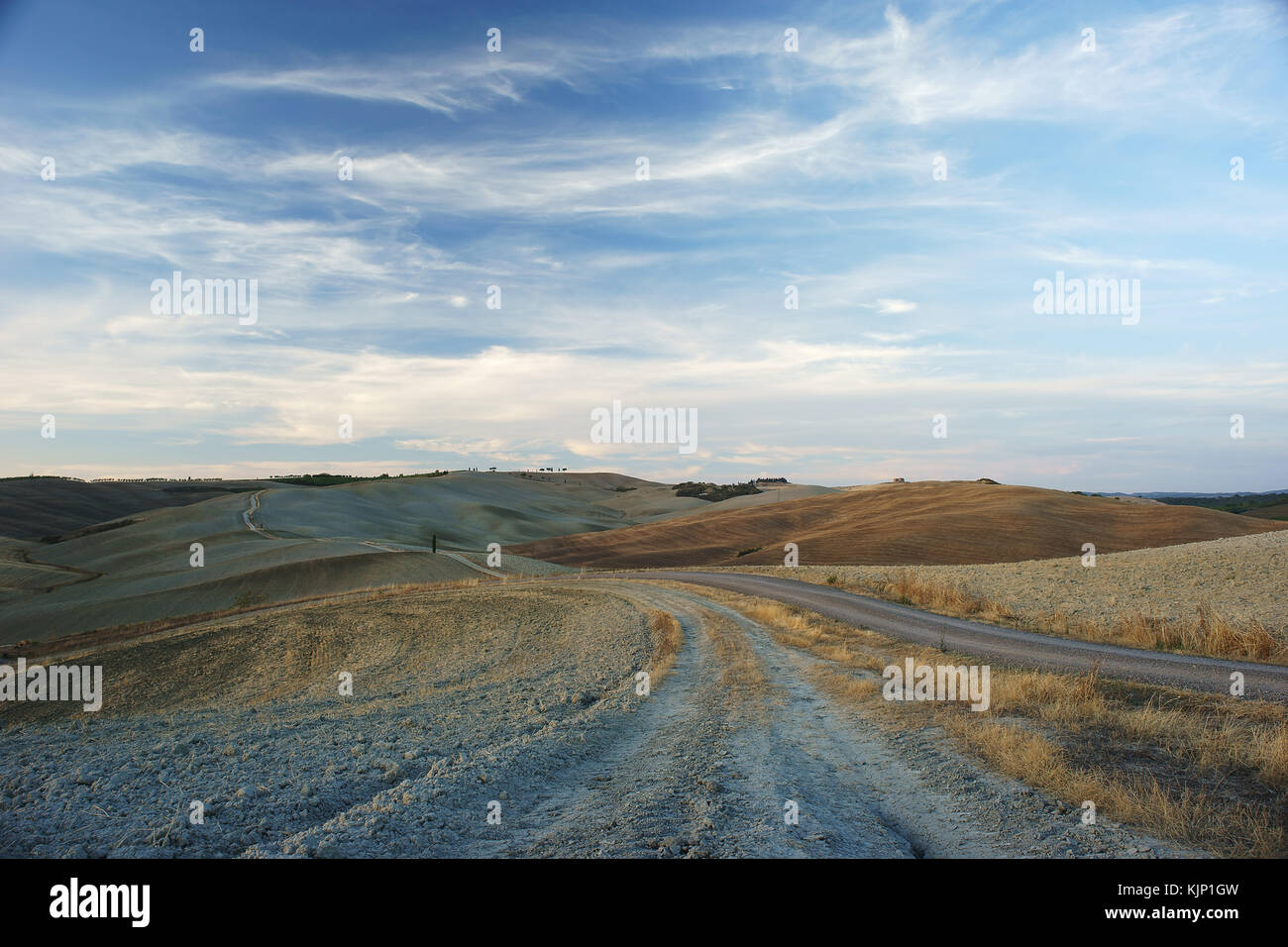 Weiße Straße in der Nähe von San Quirico d'Orcia, Val d'Orcia, Toskana, Italien Stockfoto