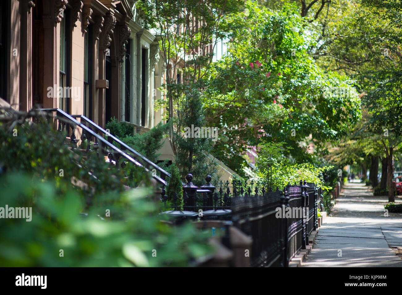 Malerischer Blick auf eine klassische Brooklyn brownstone Block mit einem langen Fassade und verzierten stoop Balustraden an einem Sommertag in new york city Stockfoto