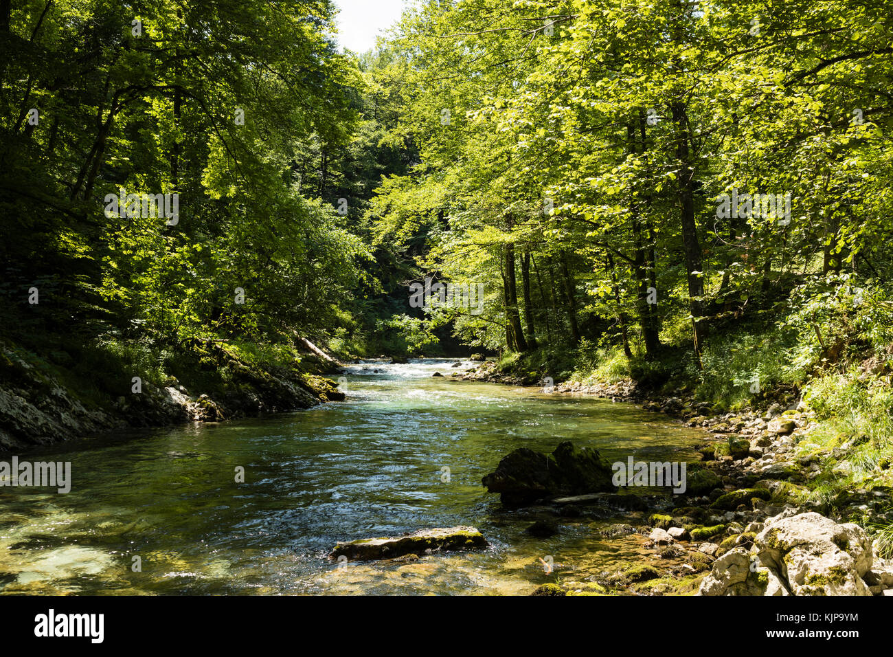Die berühmte Schlucht Vintgar Canyon mit Holz- klapse in der Nähe von Bled Triglav Nationalpark Stockfoto