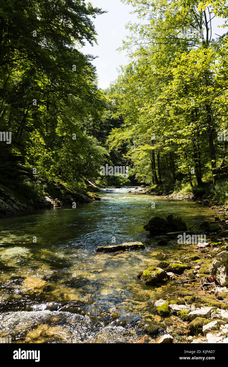 Die berühmte Schlucht Vintgar Canyon mit Holz- klapse in der Nähe von Bled Triglav Nationalpark Stockfoto