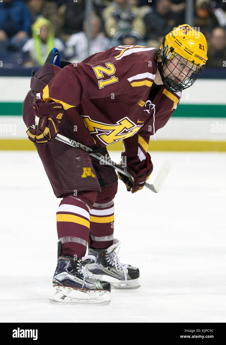 South Bend, Indiana, USA. 24 Nov, 2017. Minnesota forward Casey Mittelstadt (21) während der NCAA Hockey Game Aktion zwischen den Notre Dame Fighting Irish und die Minnesota Golden Gophers in Compton Familie Ice Arena in South Bend, Indiana. Notre Dame besiegt Minnesota 1-0. Johann Mersits/CSM/Alamy leben Nachrichten Stockfoto