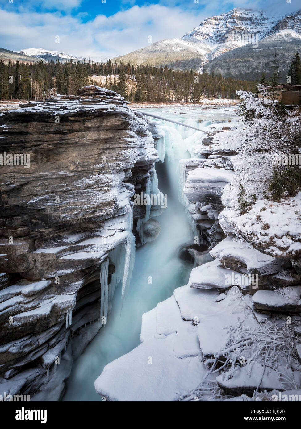 Athabasca Falls im Jasper Nationalpark Stockfoto