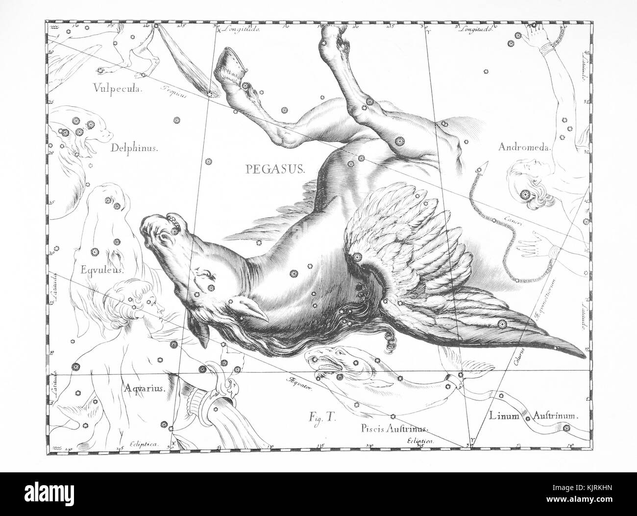 Astronomische Konstellation Pegasus auf einen hellen Hintergrund Stockfoto