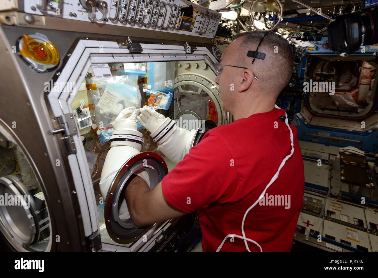 Nasa-Expedition 52/53 prime Besatzungsmitglied amerikanische Astronaut Randy Bresnik arbeitet auf Krebsforschung Experiment an Bord der Internationalen Raumstation US-Labor Destiny Modul Handschuhkasten für Schwerelosigkeitsforschung Oktober 24, 2017 in der Erdumlaufbahn. (Foto: Nasa Foto über planetpix) Stockfoto