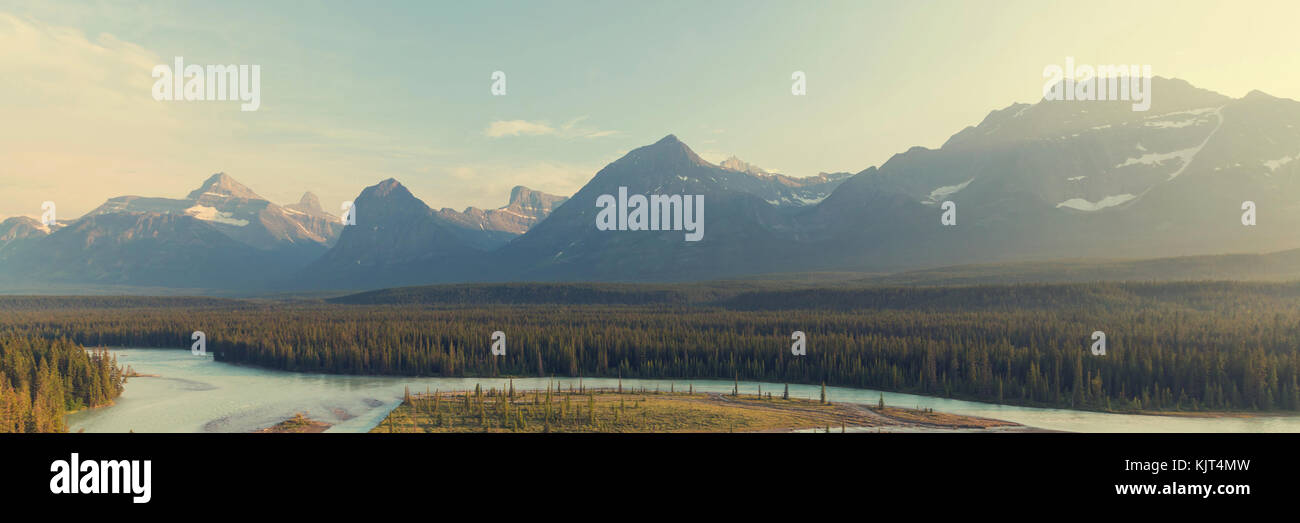 Athabasca River in Jasper National Park, Kanada Stockfoto