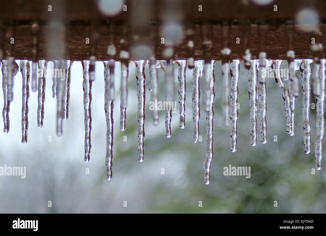 Filigrane Muster und Formen entwickeln, wie eine strenge Winter Ice Storm rollt über Saint Louis, Missouri, USA. Stockfoto