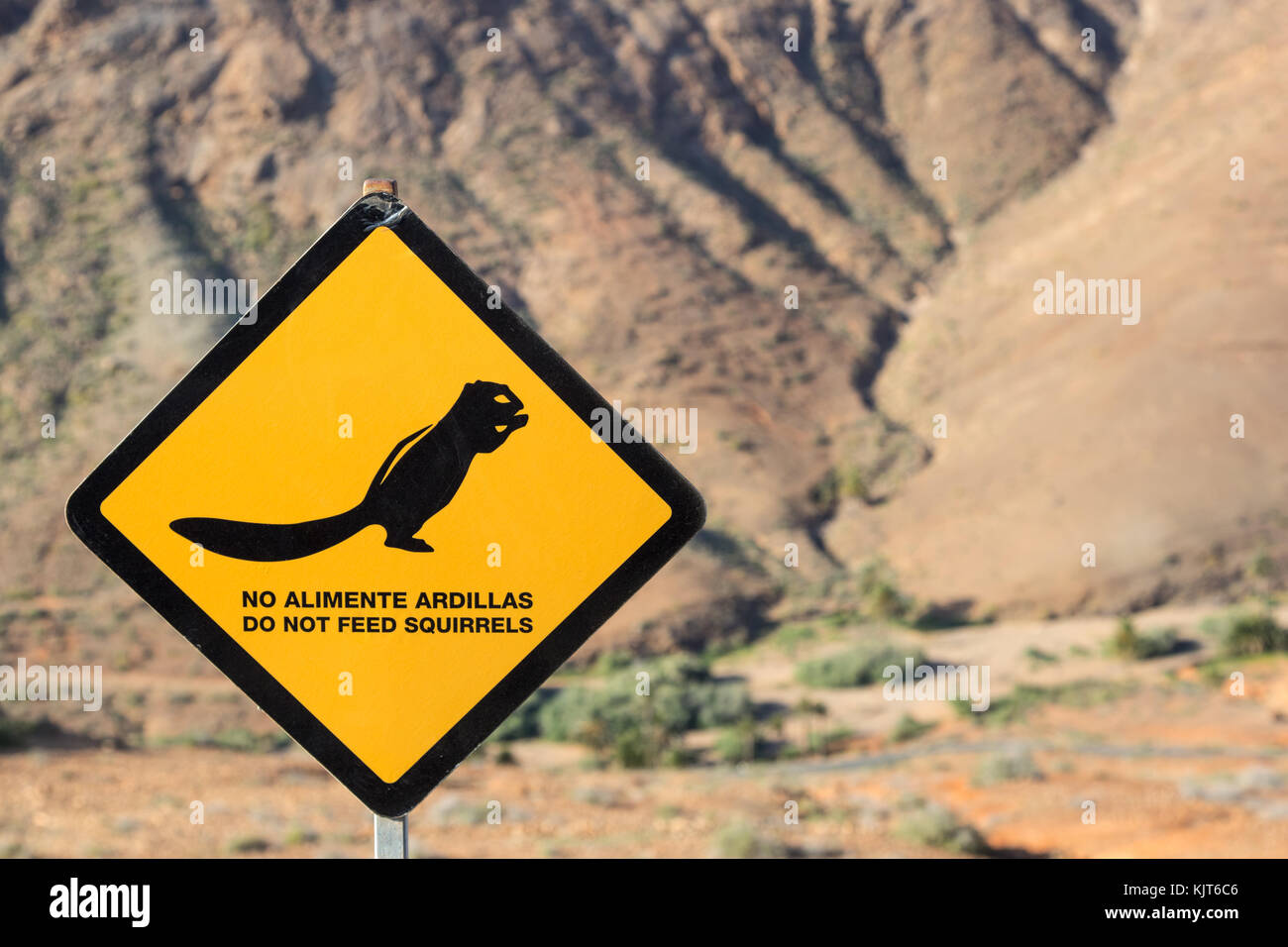 Zeichen der nicht Eichhörnchen füttern in eine Wüste Gegend auf der Insel fuertevenutra, Spanien Stockfoto