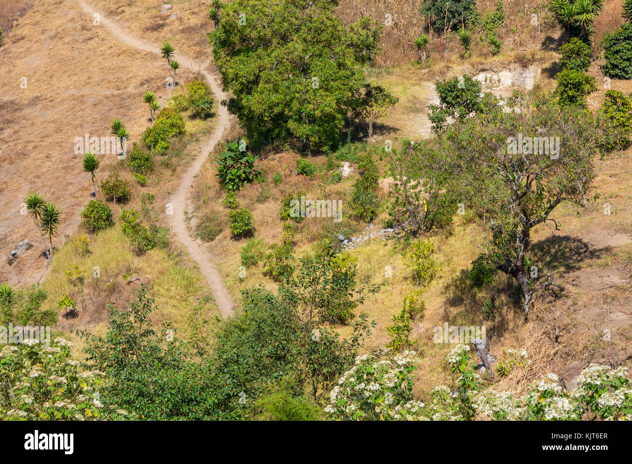 Kleiner Weg zwischen den Feldern Panajachel und Guatemala Stockfoto
