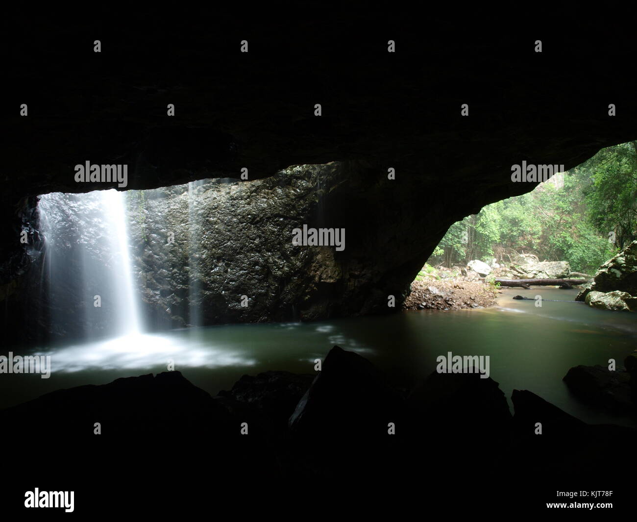 Wasserfall und Grotte Eintrag in Springbrook National Park, Australien Stockfoto