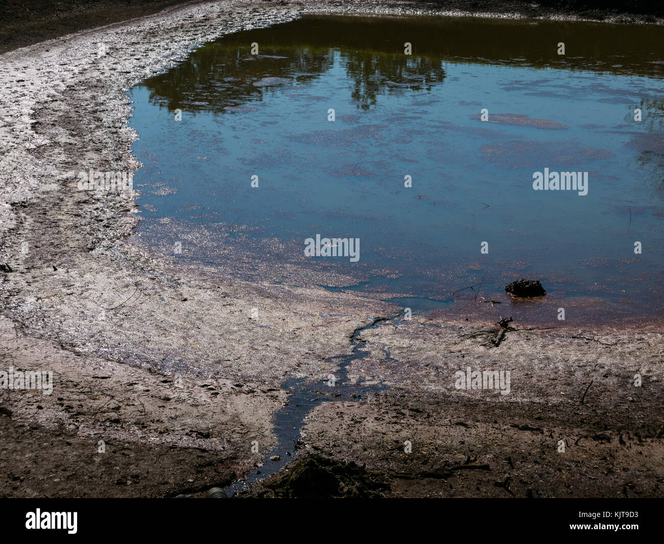 In der Nähe von einem kleinen Teich und Muster auf dem Boden herum. Stockfoto