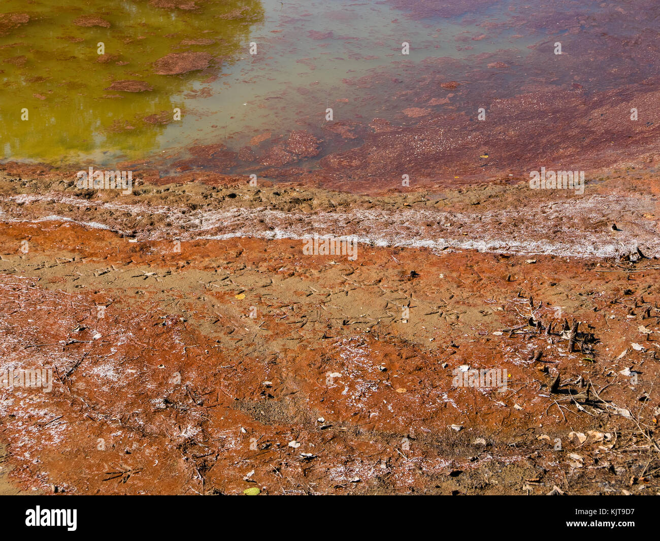 In der Nähe von einem kleinen Teich und Muster auf dem Boden herum. Stockfoto