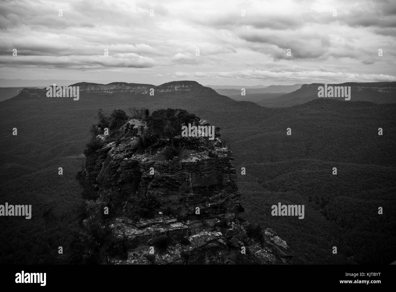 Blue Mountains. Stockfoto