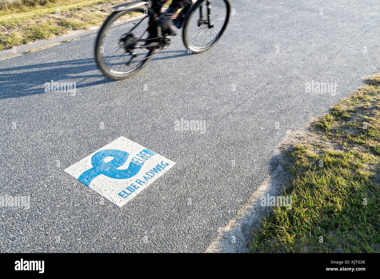 Elberadweg. Sie ist Teil eines internationalen Radwegenetzes in ganz Europa und mit Abstand die beliebteste Route für Radfahrer in Deutschland. Stockfoto