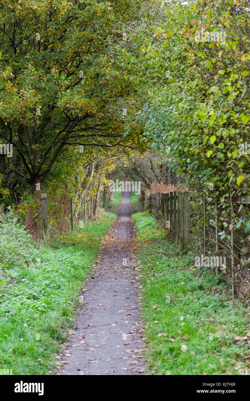 Weg durch die englische Landschaft im Herbst. Stockfoto