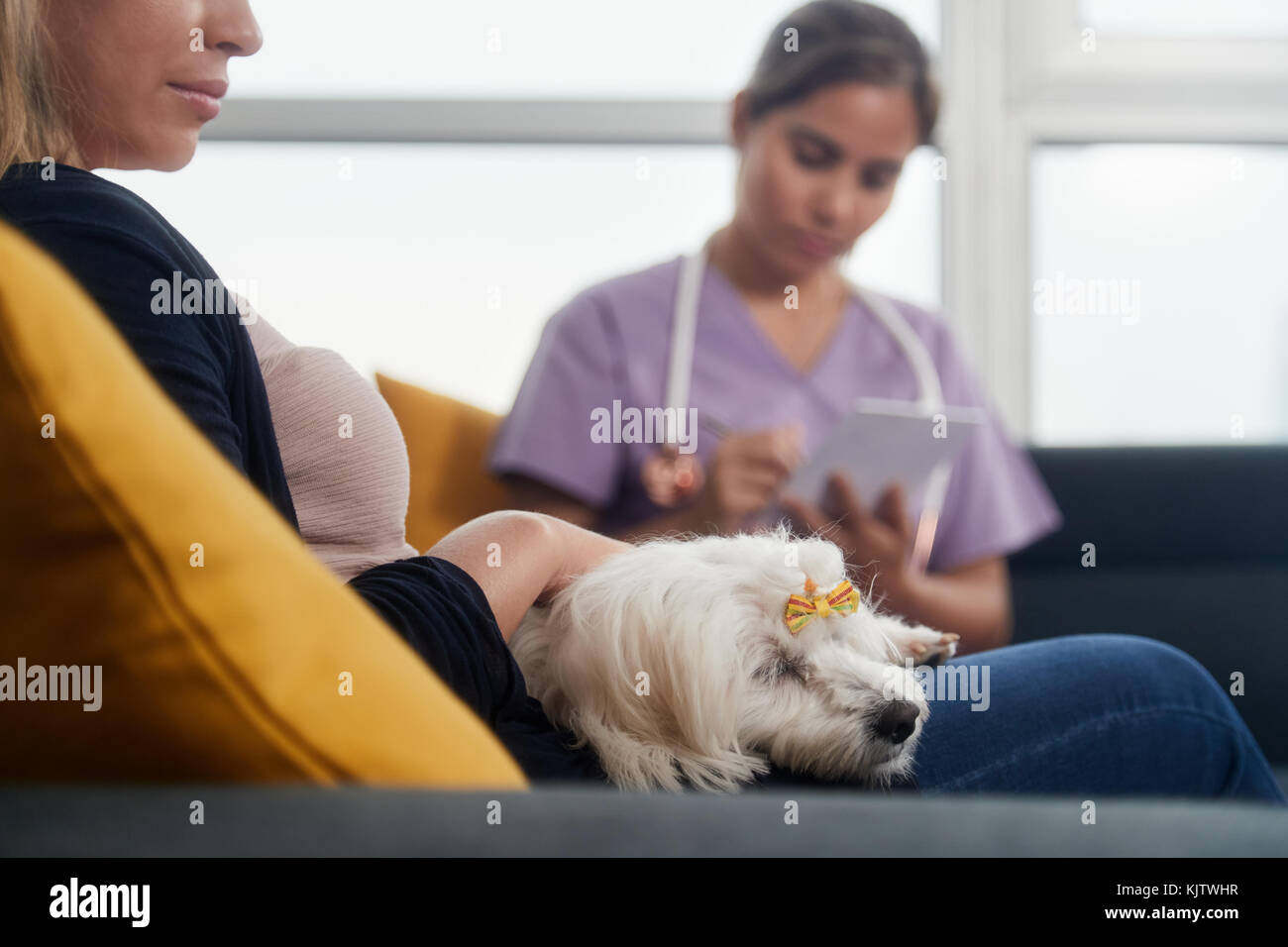 Junge latina Frau arbeitet als Tierarzt, Tierarzt mit Hund Eigentümer während des Hauses. Tier Arzt schreiben Hinweis für kranke Haustier zu Hause. Stockfoto