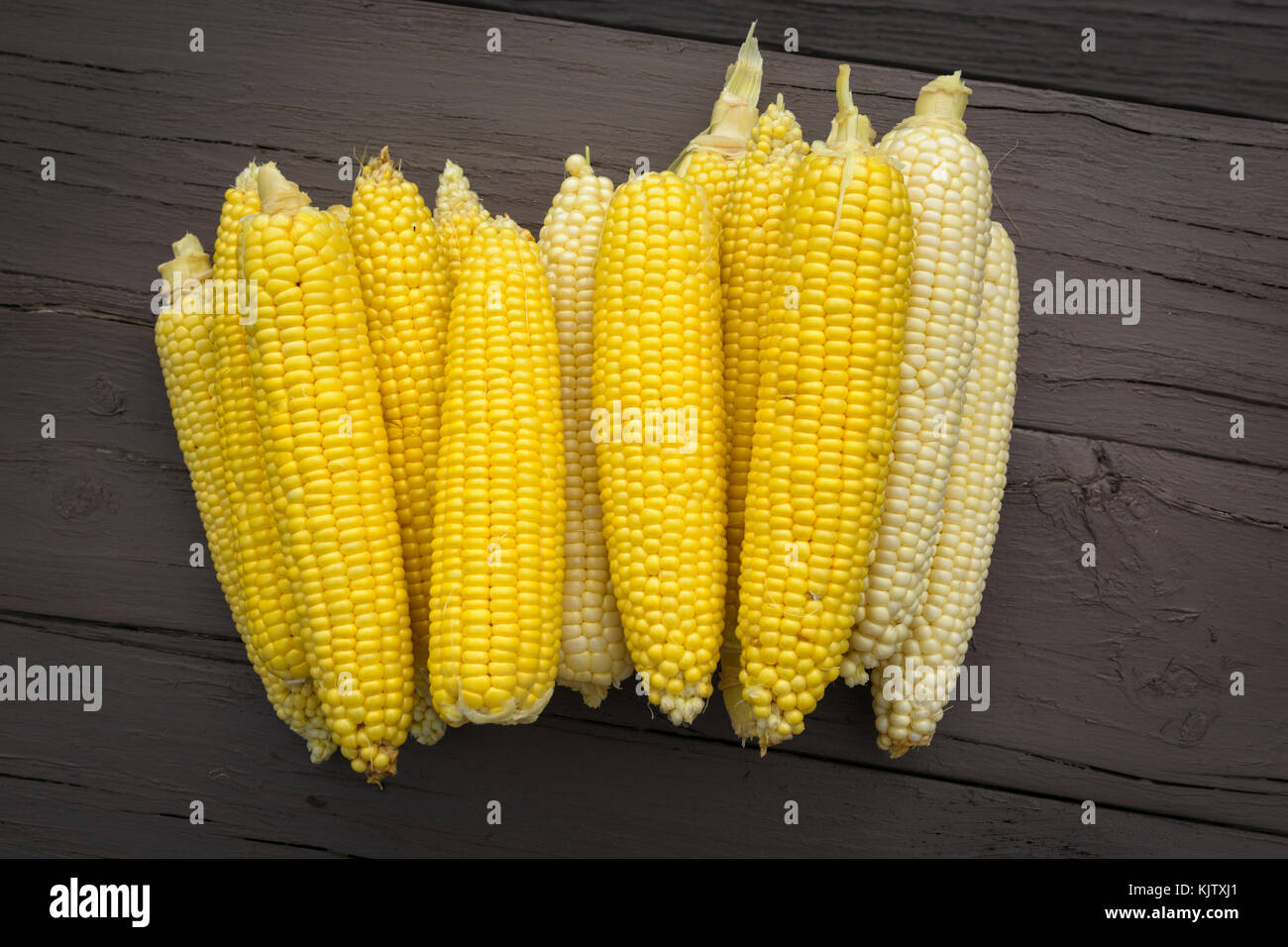 Frische Maiskolben, gelbe und weiße bereit zu Kochen. Stockfoto