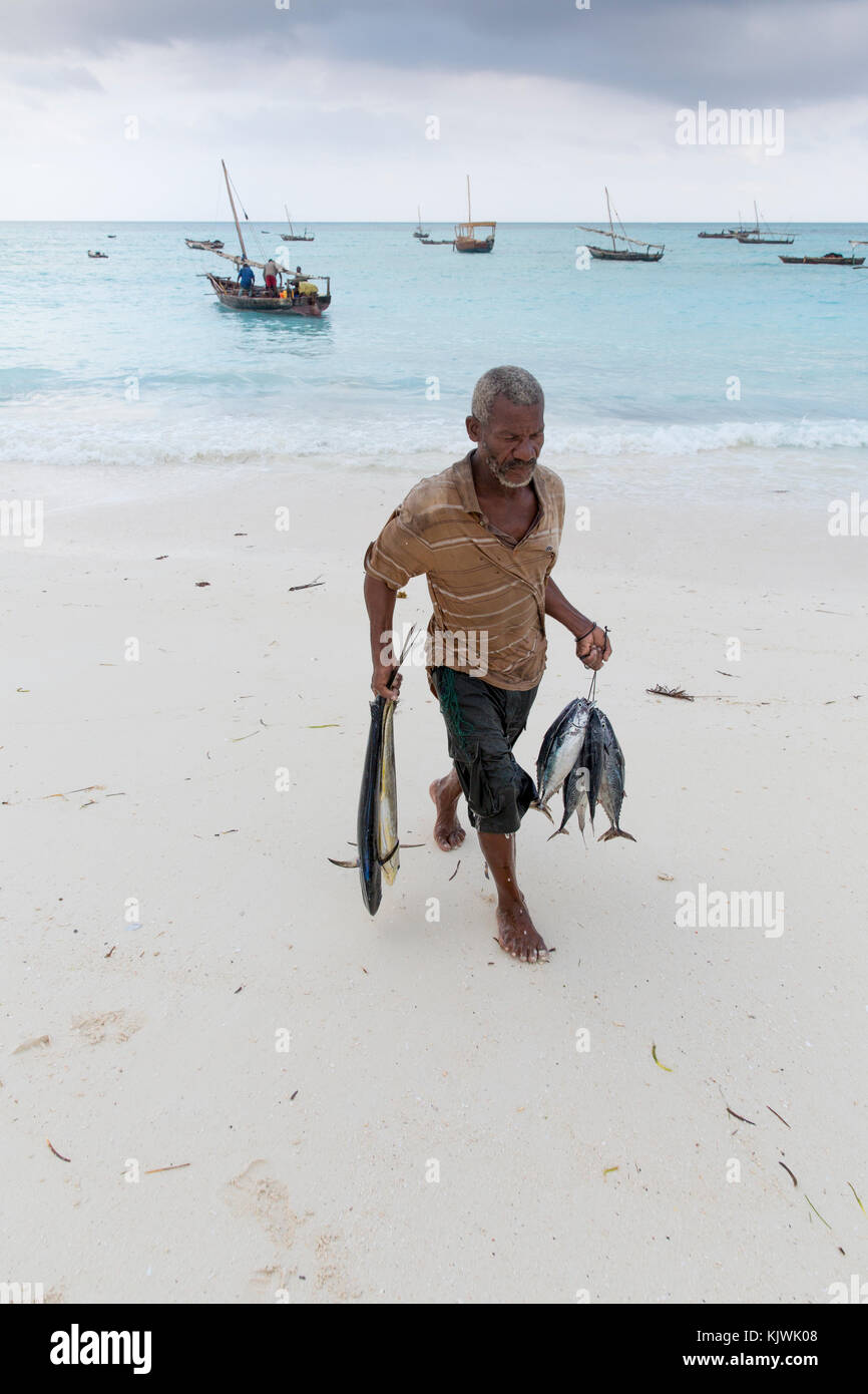 Nungwe, Sansibar, Tansania; die Fischer ihren Fang einbringen. Stockfoto