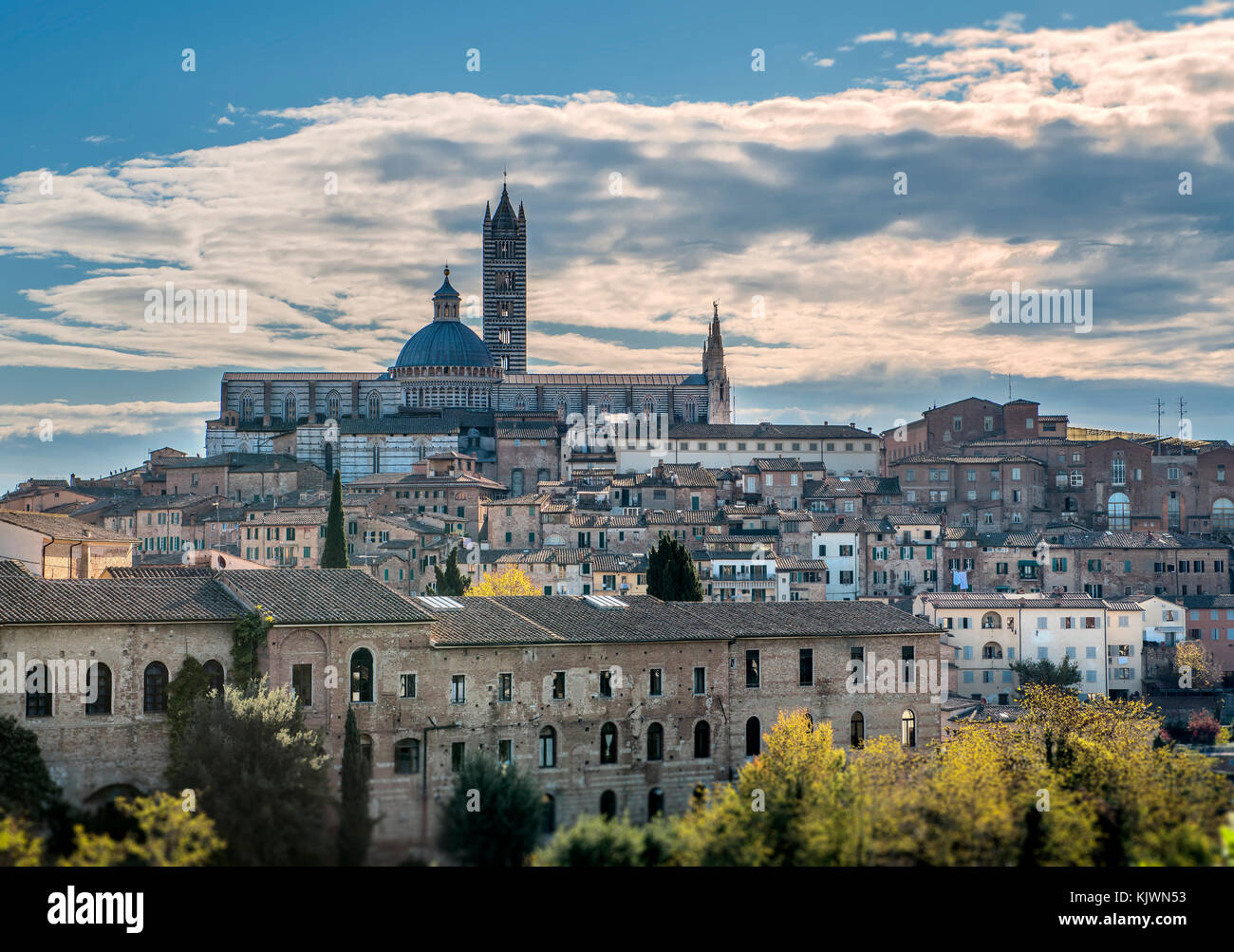 Areal Blick auf Santa Maria Catedral in der mittelalterlichen Stadt Siena, Toskana, Italien Stockfoto