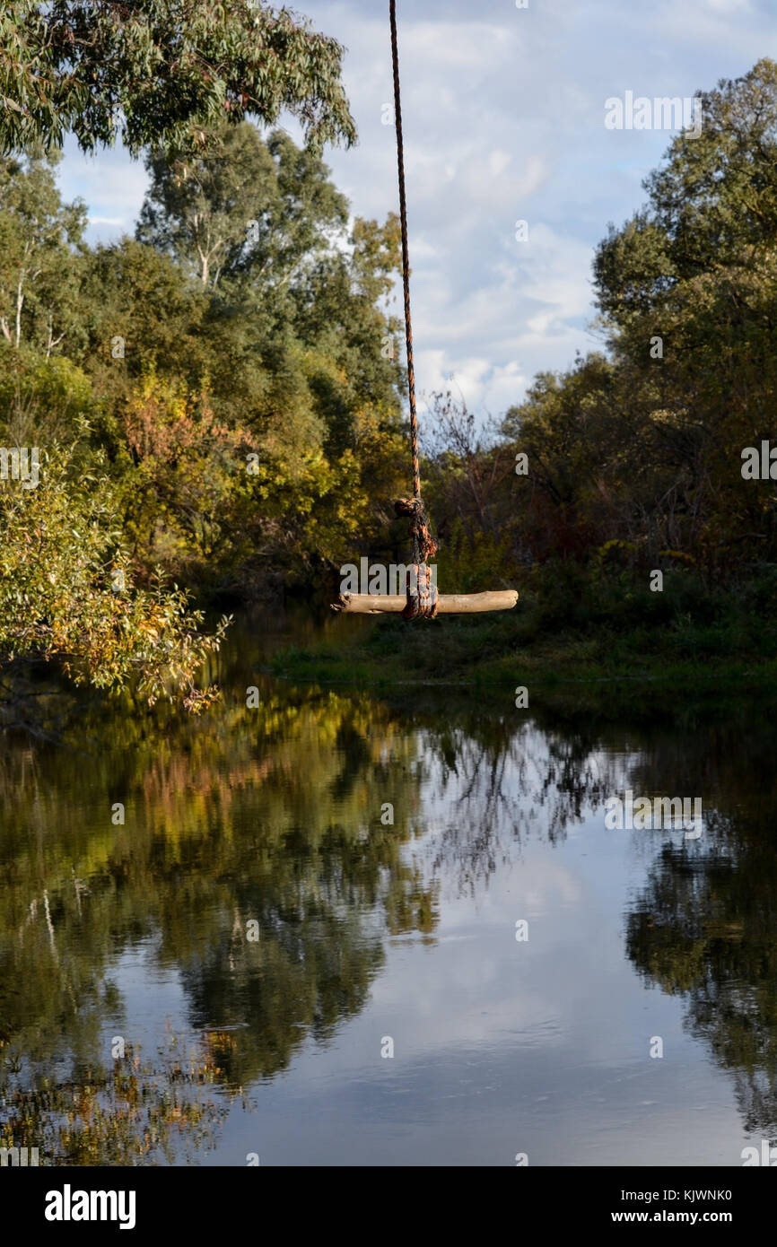 Selektiver Fokus auf Seil schwingen an den Putah Creek in Davis, Kalifornien, USA, an einem Tag mit klarer Himmel fallen Stockfoto