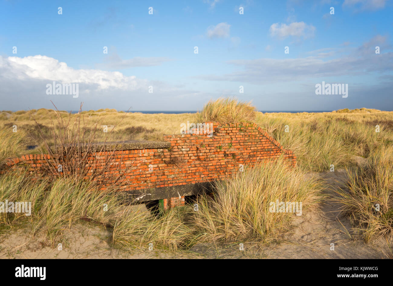 Reste eines alten deutschen Bunker, Teil der Atlantikwall, in den Dünen der holländischen Insel Terschelling Stockfoto