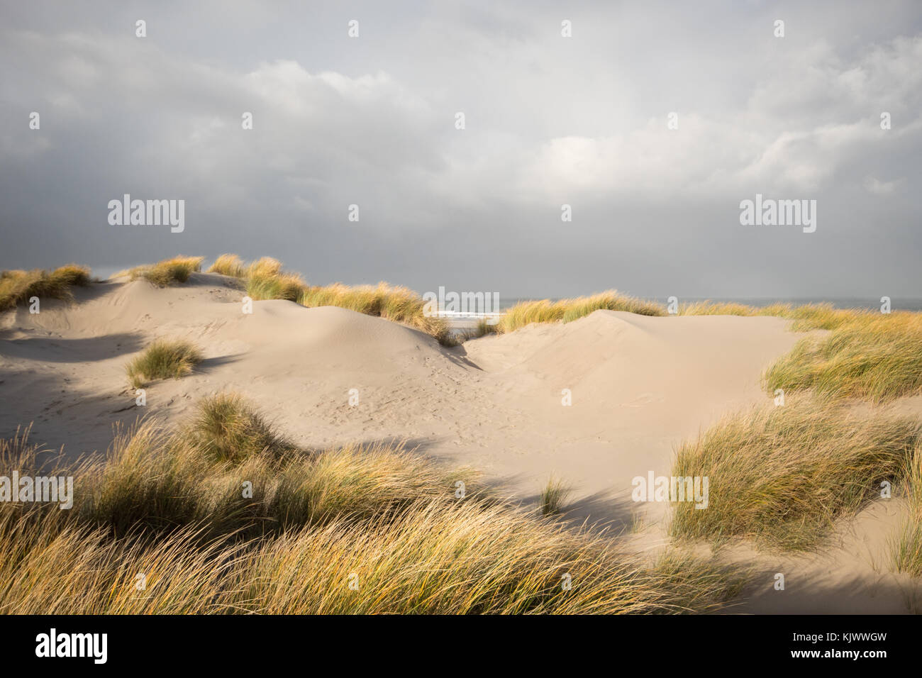 Dunkle Wolken über dem Meer, die Dünen im Vordergrund sind immer noch in der Sonne. Stockfoto