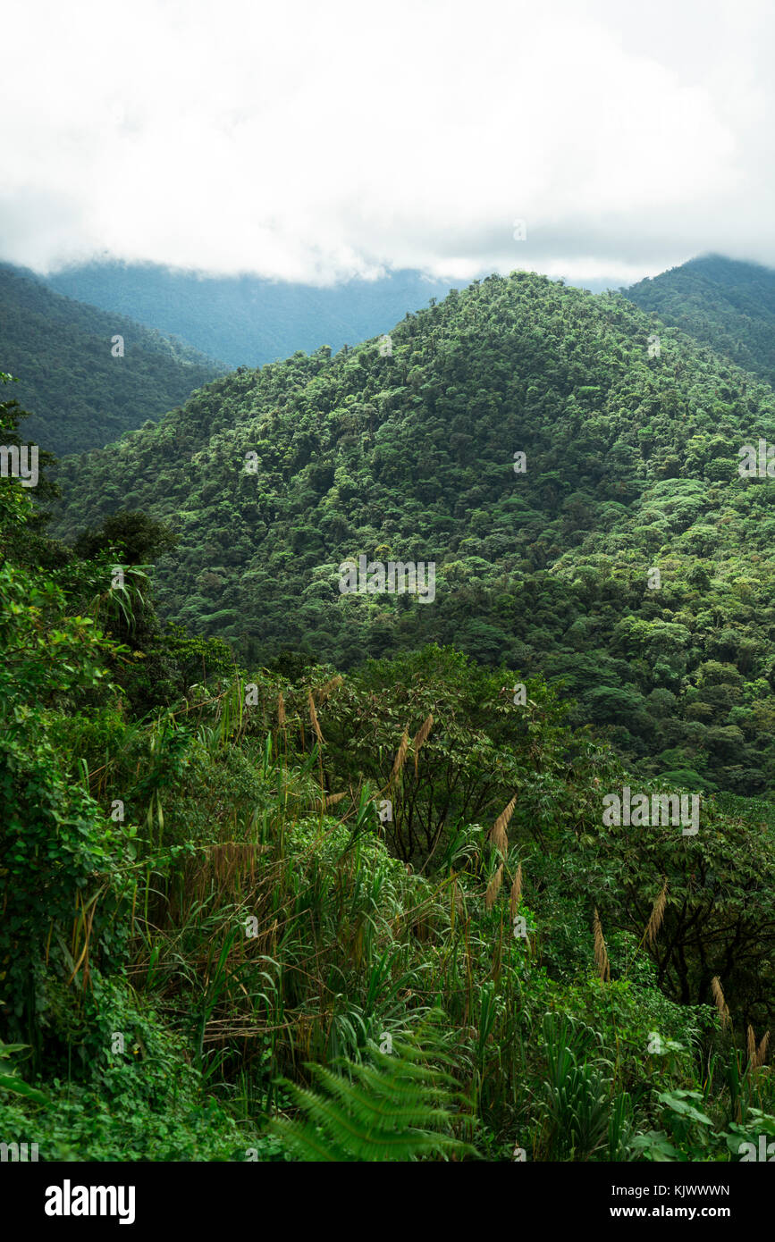 Die Straße von San Jose nach Guapiles führt durch den Braulio Carrillo Nationalpark, der sehr hohe Berge und tiefe Täler hat. Die Straße war atemberaubend für das Auto und die Aussicht. Stockfoto