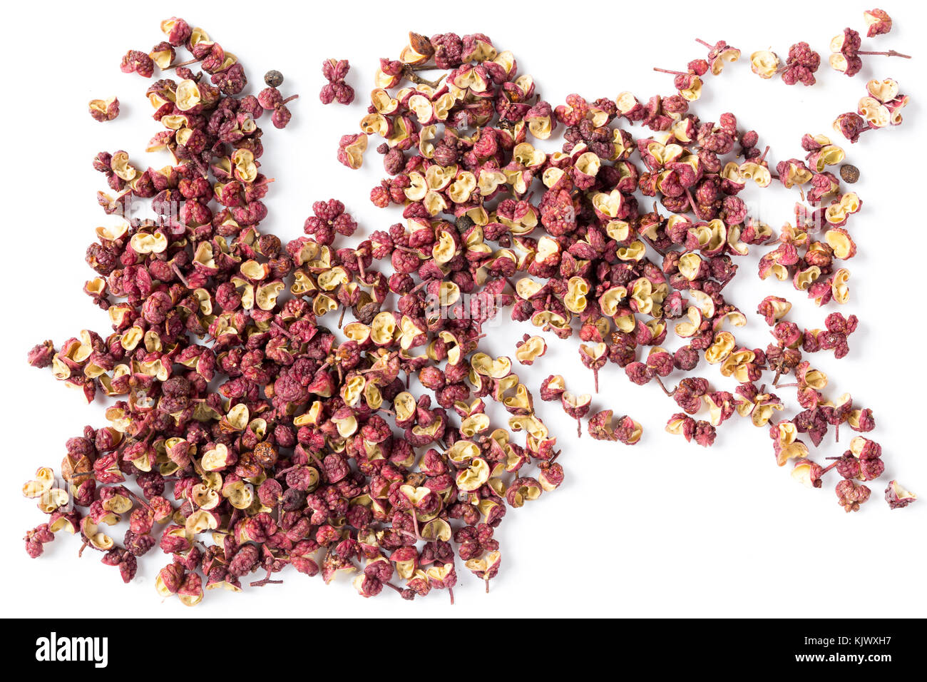 Pfefferkörner der chinesischen Sichuan Pfeffer auf weißem Hintergrund Stockfoto