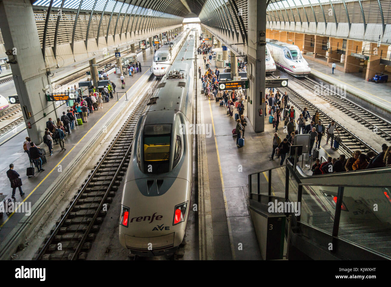 RENFE AVE Hochgeschwindigkeitszüge, Bahnhof Santa Justa, Sevilla, Andalusien, Spanien Stockfoto