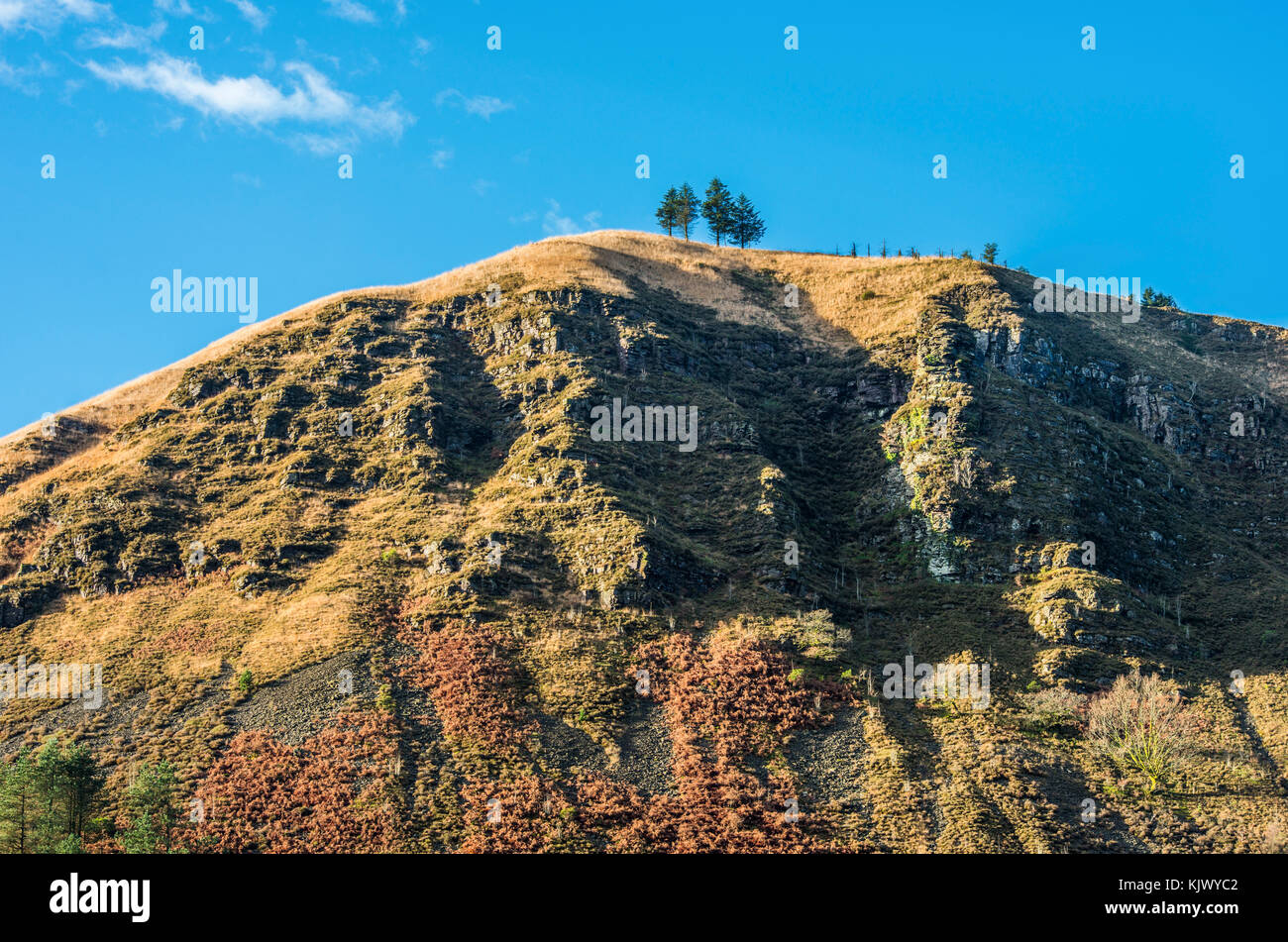 Hügel und Bäume über Blaencwm Rhondda Tal südlich WalesRhondda, Stockfoto