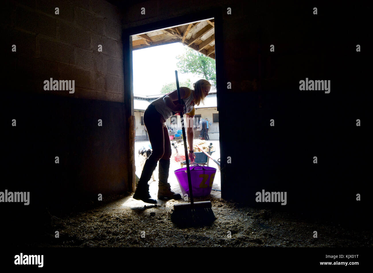 Ställe im Moreton Equestrian Centre, Dorset, Großbritannien Stockfoto