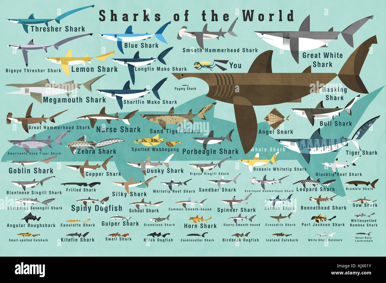 Verschiedene Haie auf blauem Hintergrund Stockfoto