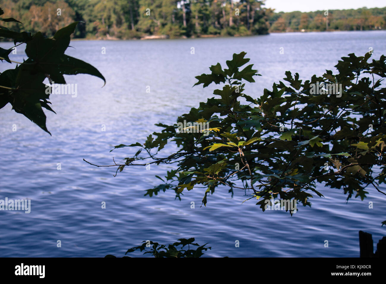 Landschaft Stockfoto