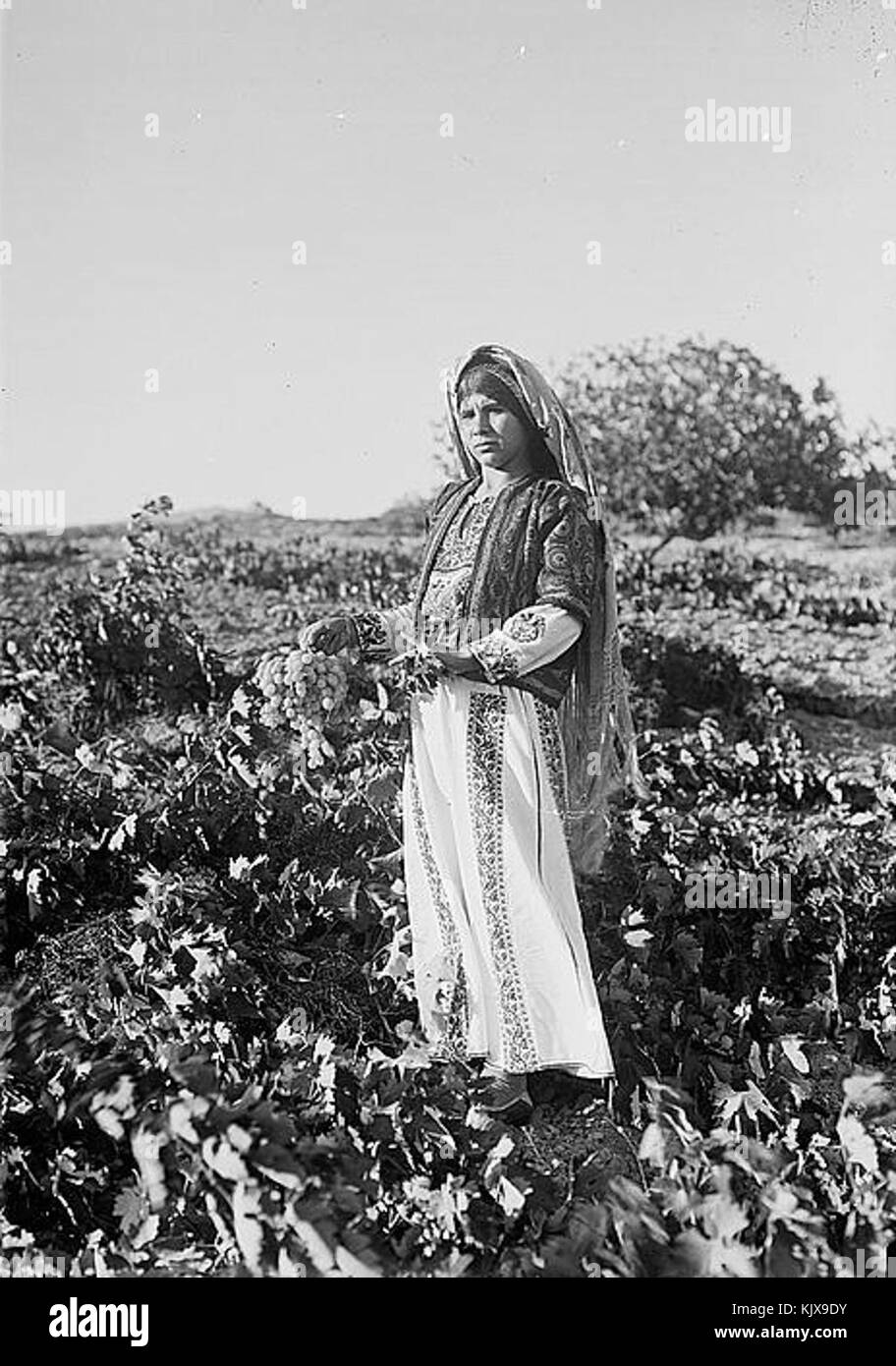 Ein Yabrud, Mädchen, 1937 Stockfoto
