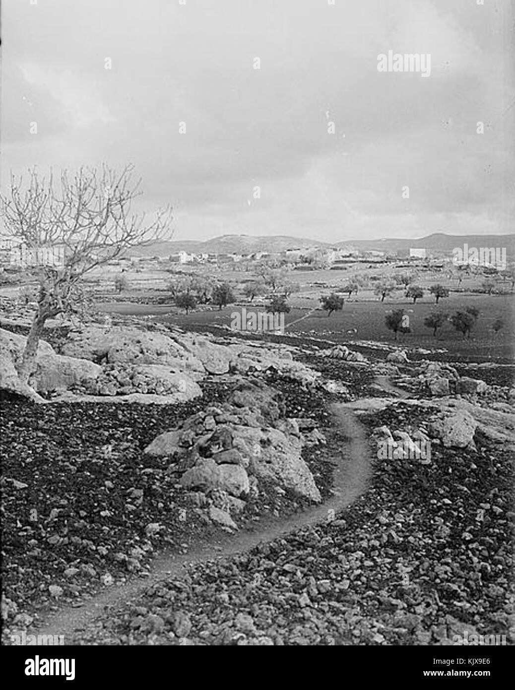 Beit Ur al Tahta ist ein palästinensisches Dorf im Westjordanland. Dieser Ort ist für seine Geschichte und seine Rolle in der kulturellen und politischen Landschaft der Region von Bedeutung. Stockfoto