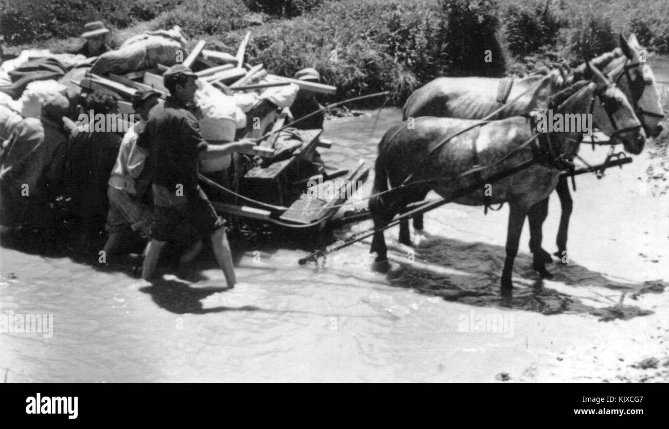 Israel Kibbutz Sdot Yam 9046 frühen Tagen Stockfoto