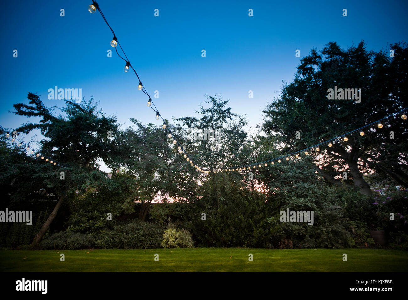 Lichterketten In Einem Garten Im Sommer 2017 Stockfoto Bild