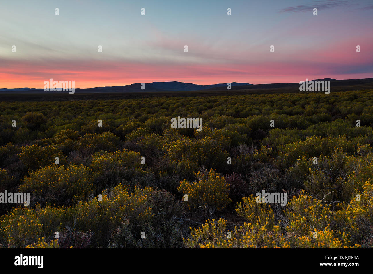 Weitwinkelaufnahme der Sonnenaufgang über dem tankwa Karoo in der Nähe von Sutherland in der nördlichen Kap von Südafrika Stockfoto