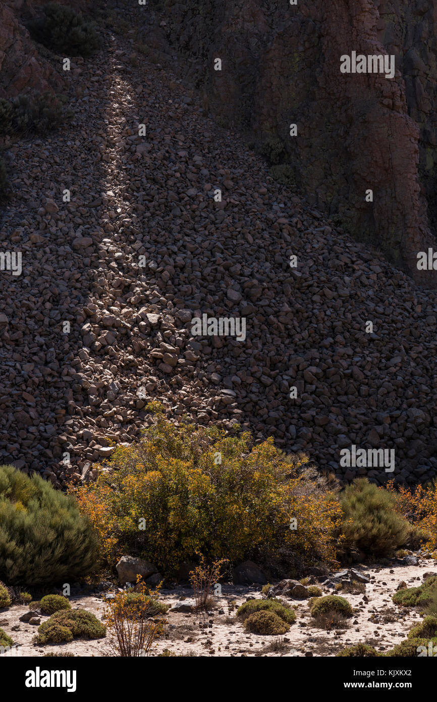 Steinschlag Ablagerungen im Nationalpark Las Canadas del Teide, Teneriffa, Kanarische Inseln, Spanien Stockfoto