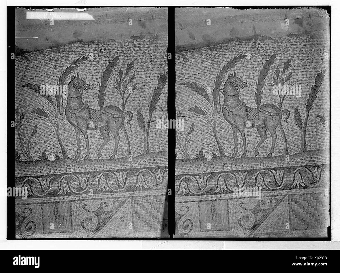 Das Ghassanide-Pferdemosaik aus Beit Jibrin ist ein altes Kunstwerk, das ein Pferd und Reiter darstellt. Das Mosaik geht auf die byzantinische Zeit zurück und spiegelt die handwerkliche und kulturelle Bedeutung der Ghassaniden-Ära in der Region wider. Stockfoto