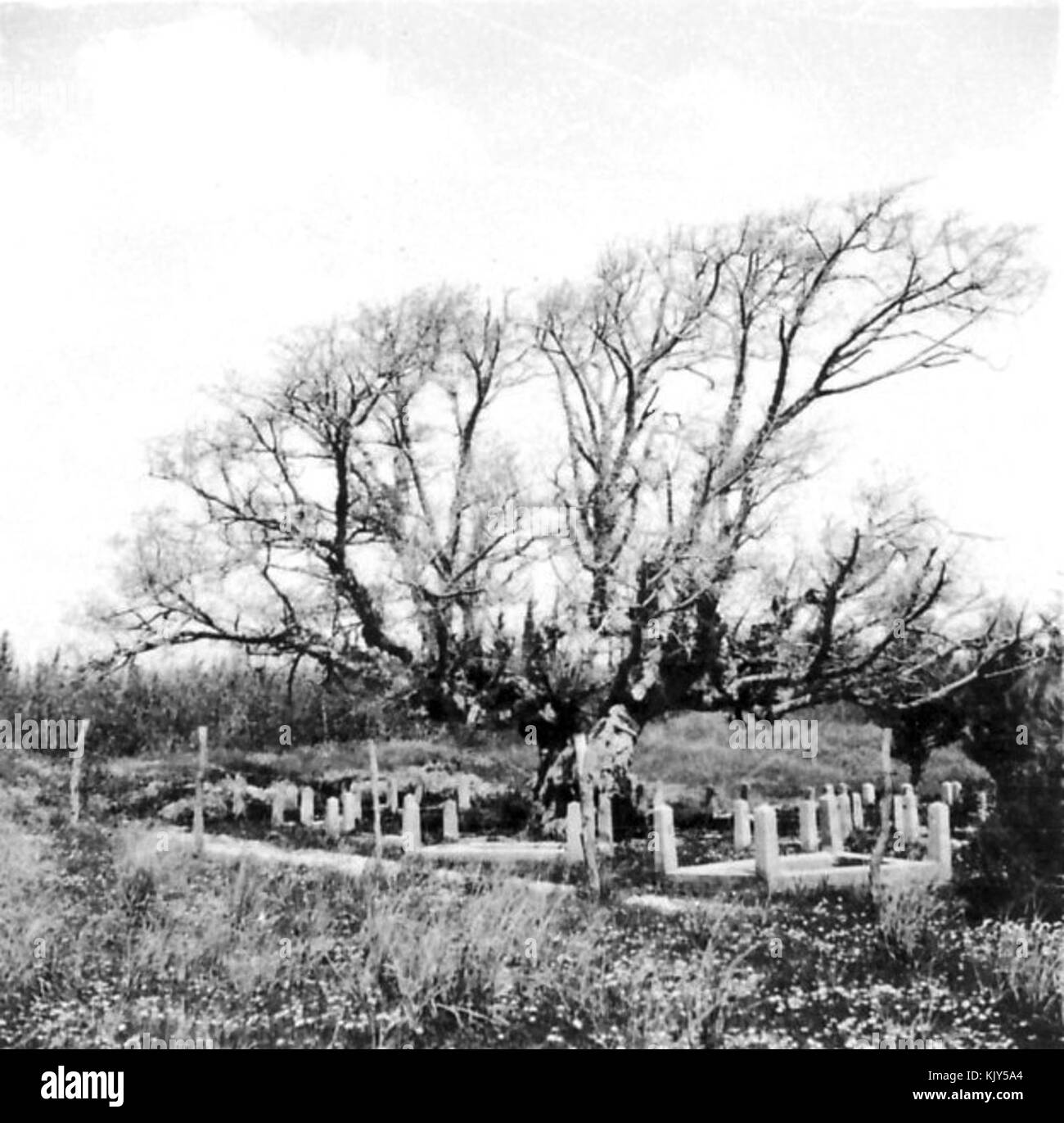 Israel 7502 Gan Samuel, der Friedhof 1935 40 Stockfoto