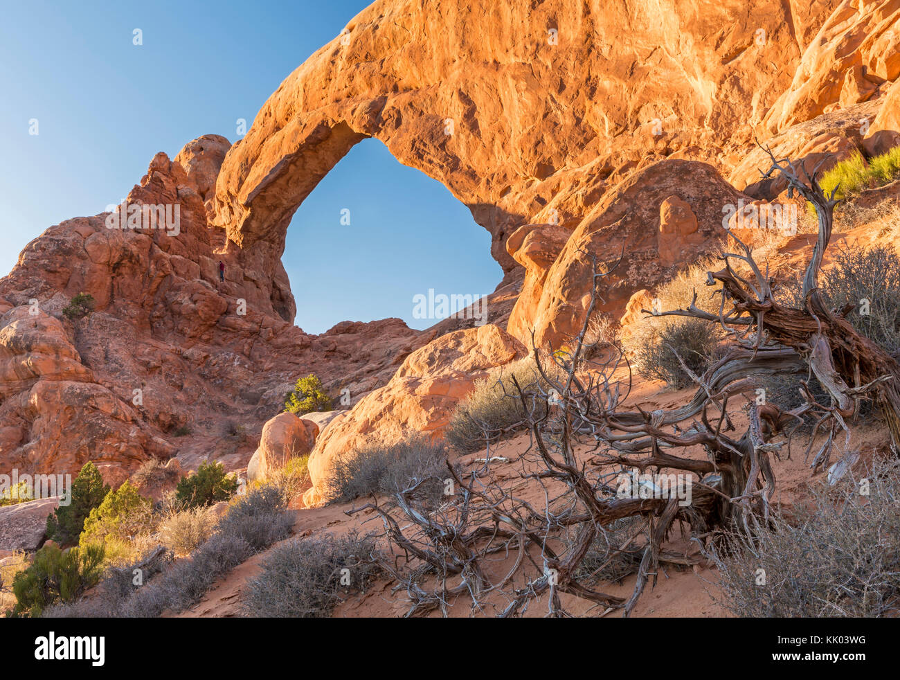 Süd Fenster Natural Arch im Abschnitt Windows des Arches National Park, in der Nähe von Moab, Utah Stockfoto