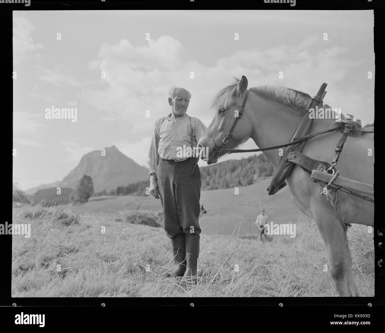 Kvamshesten, Sunnfjord, Norheimsund kein nb DigiFoto-Maker 20151105 0,00082 NB MIT FNR 06520 Stockfoto