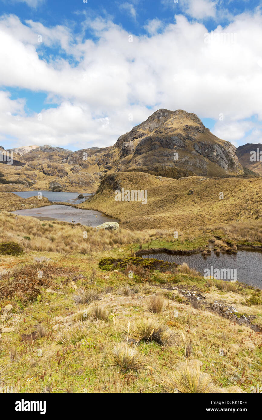 Cajas Nationalpark (Parque Nacional Cajas), Ecuador Landschaften; Southern Highlands, Ecuador, Südamerika Stockfoto