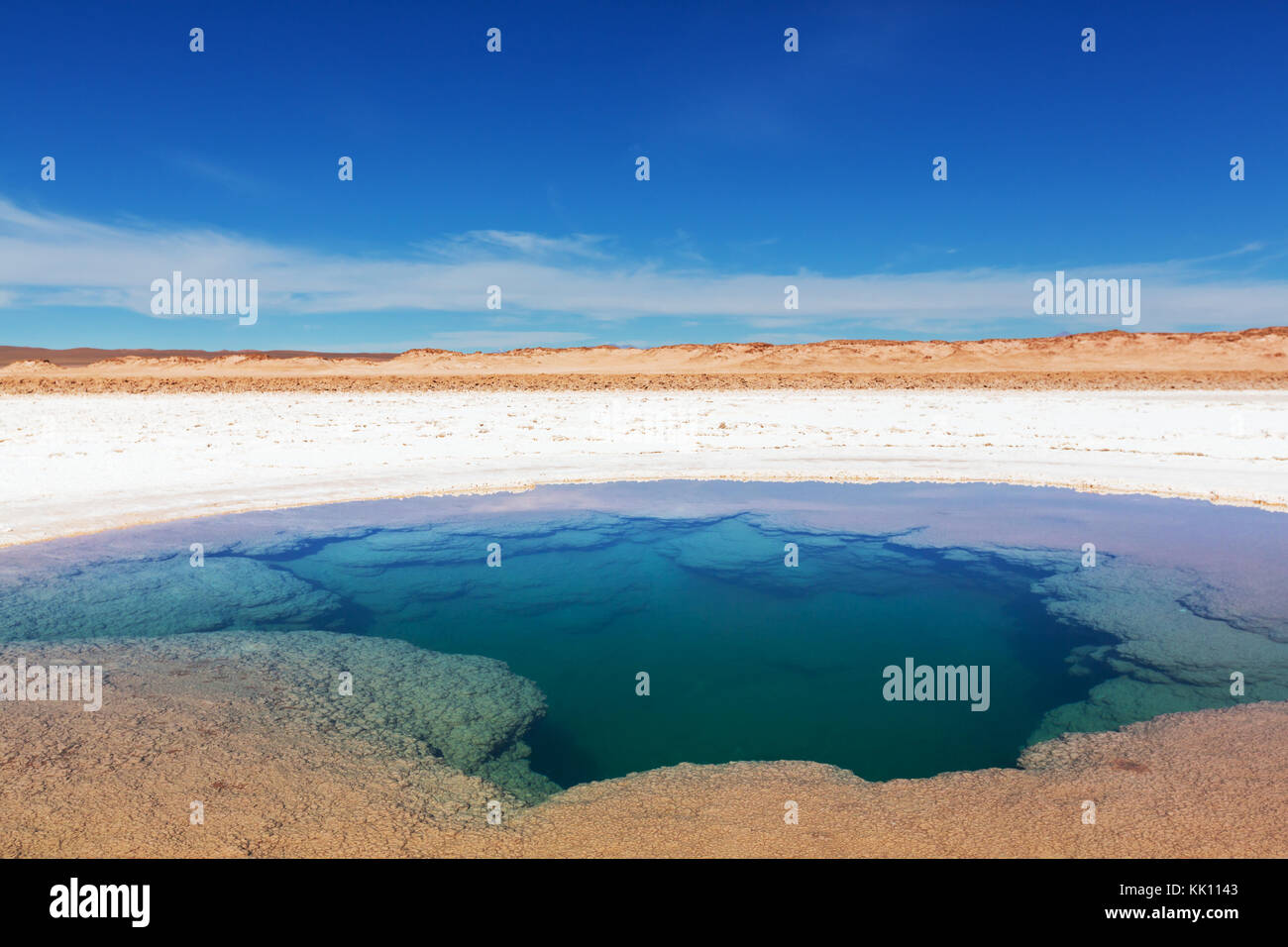 Hochebene la Puna, nördliche Argentinien Stockfoto