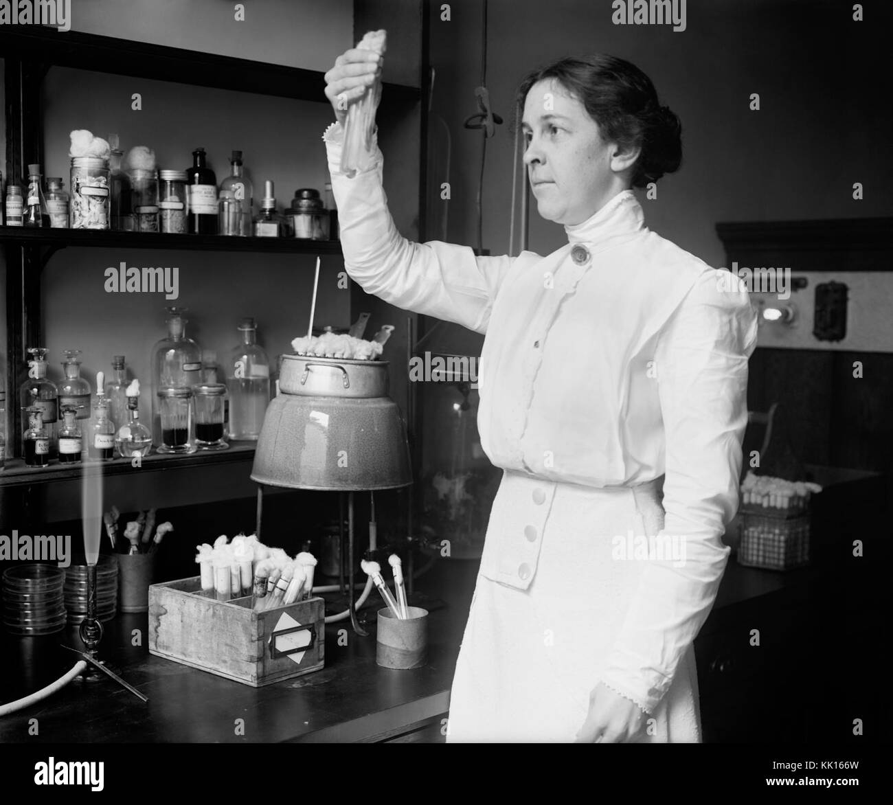 Alice C. Evans, National Photo Firmenporträt, ca. 1915 Stockfoto