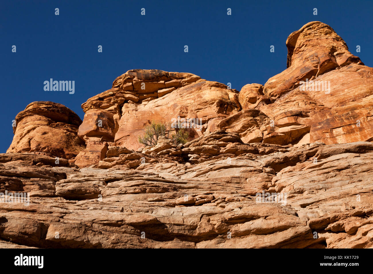 Ein canyon im Needles District des canyonlands in Utah, USA Stockfoto