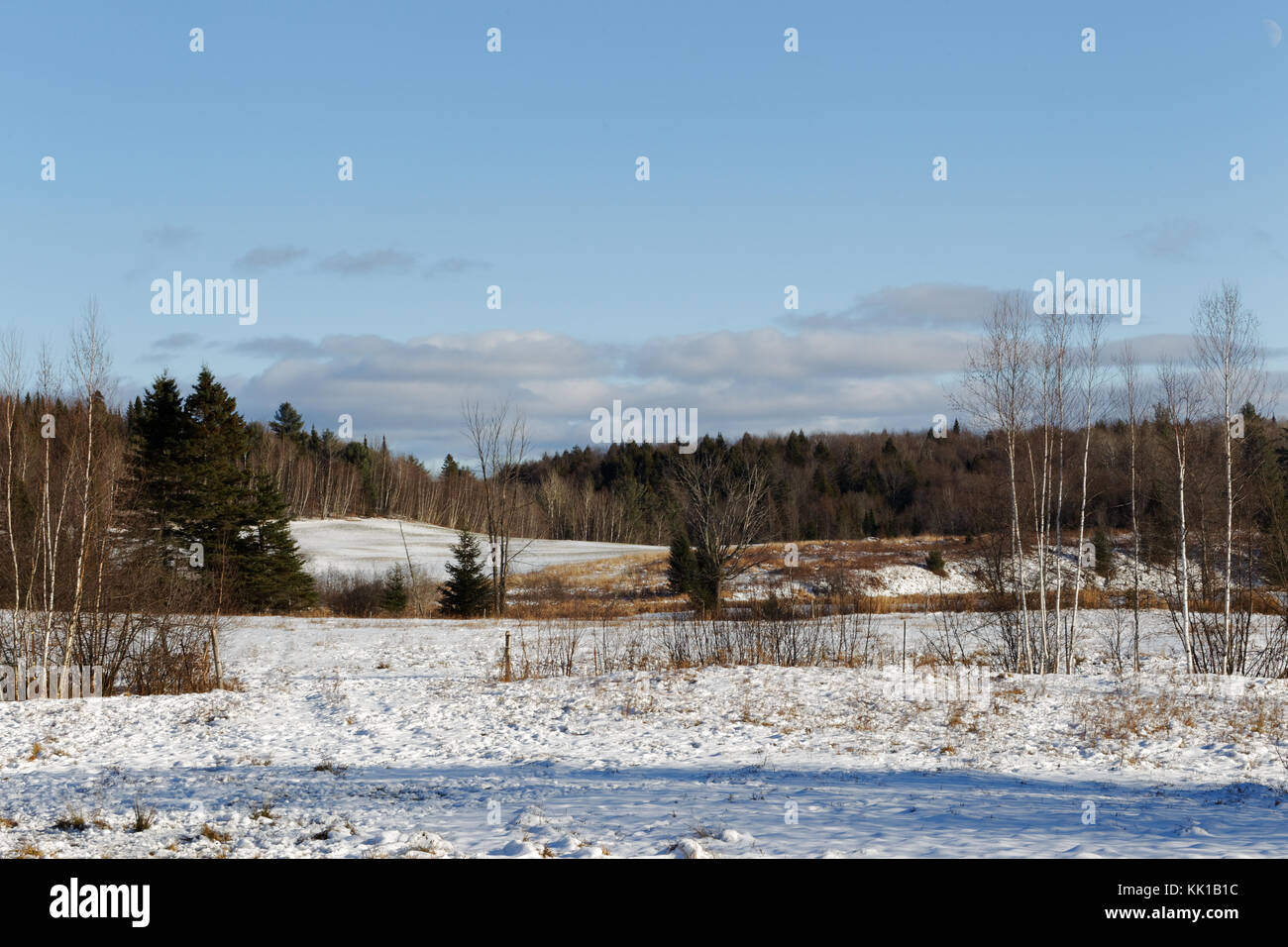 Quebec, Kanada. Schneebedeckte Felder Stockfoto
