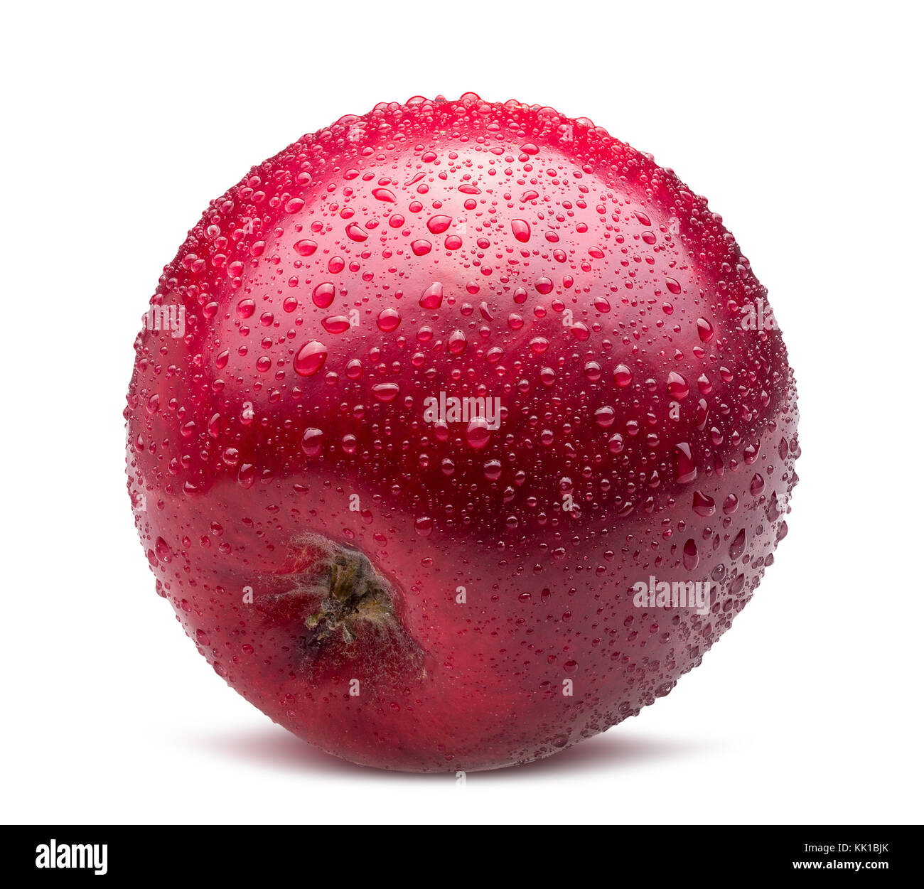 Red Apple im Wassertropfen auf einem weißen Hintergrund. Stockfoto