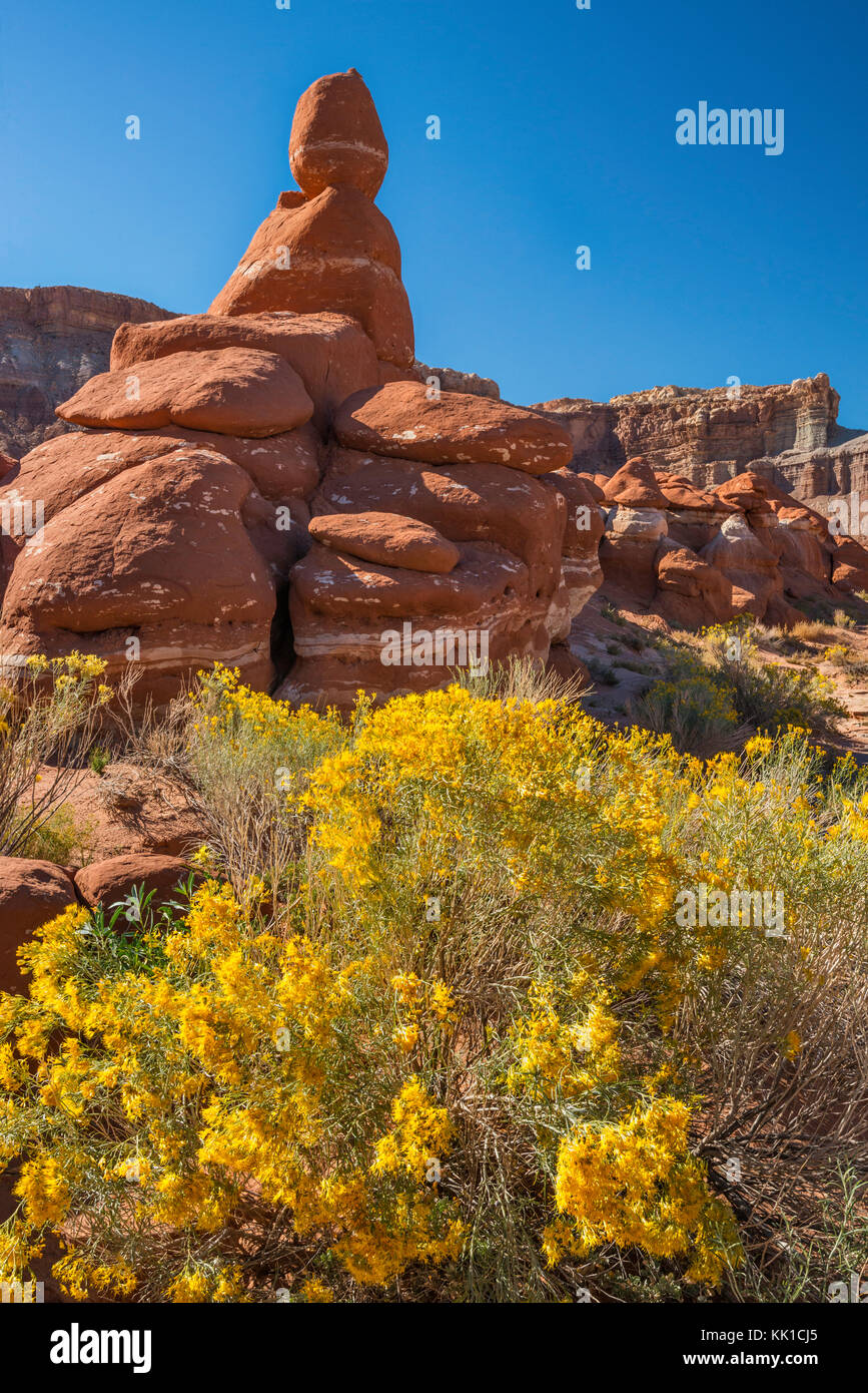 Gummirabbit, Sandstein-Kobolde und Hoodoos an Der Little Egypt Geological Site, Bicentennial Highway Area, südlich von Hanksville, Utah, USA Stockfoto